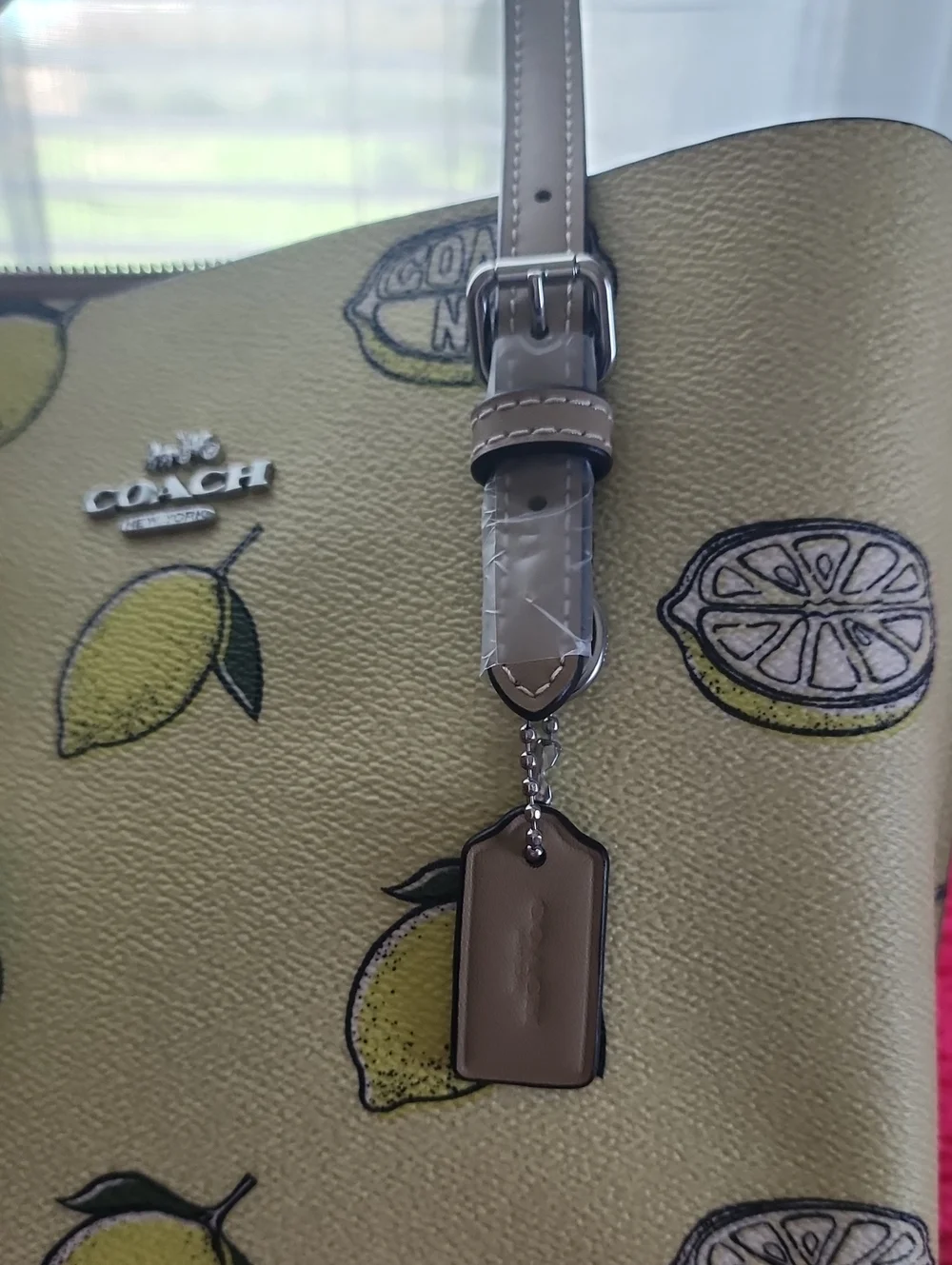 Coach Lemon Print 